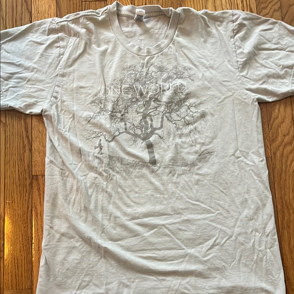 Jesse Cook One World Tour Concert Band Tee American Apparel‎ Music M